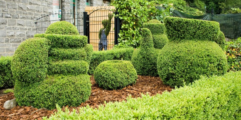 Gepflegte Gartenanlage