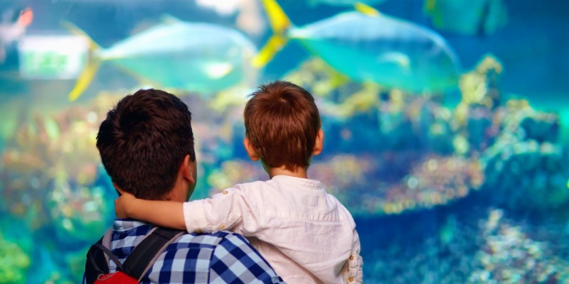 Vater und Sohn in einem Aquarium