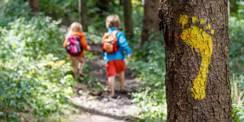 Kinder laufen durch einen Wald